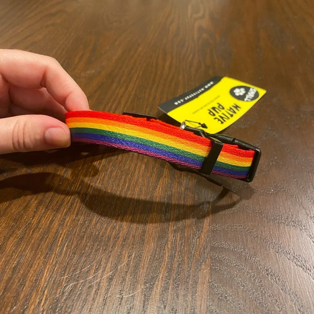 🌈 Rainbow Small Dog Collar 🌈 🐶